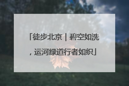 徒步北京｜碧空如洗，运河绿道行者如织