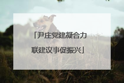 尹庄党建凝合力 联建议事促振兴