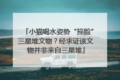 小猫喝水姿势“撞脸”三星堆文物？经求证该文物并非来自三星堆