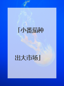 小番茄种出大市场