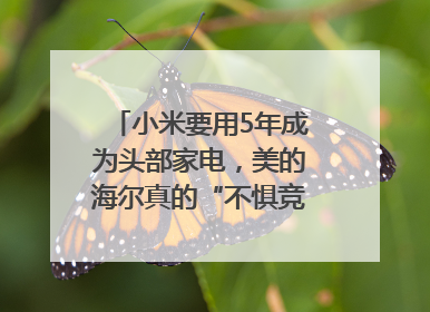 小米要用5年成为头部家电，美的海尔真的“不惧竞争”？｜热财经