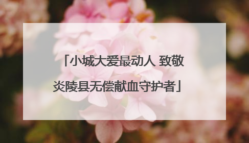 小城大爱最动人 致敬炎陵县无偿献血守护者