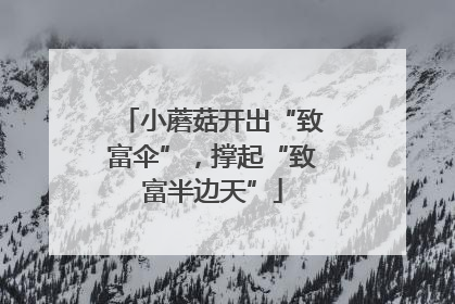 小蘑菇开出“致富伞”，撑起“致富半边天”