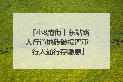 小8跑街丨东站路人行道地砖破损严重 行人通行存隐患