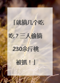 就摘几个吃吃？三人偷摘230余斤桃被抓！