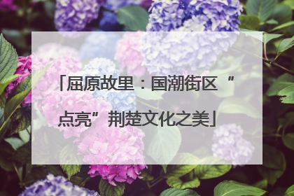 屈原故里：国潮街区“点亮”荆楚文化之美