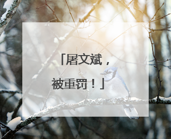 屠文斌，被重罚！