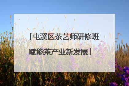 屯溪区茶艺师研修班赋能茶产业新发展