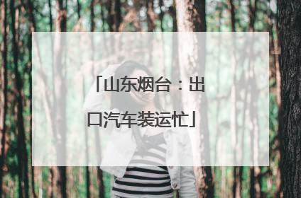 山东烟台：出口汽车装运忙