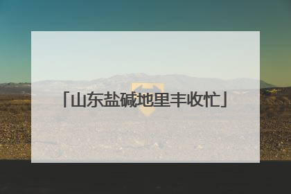 山东盐碱地里丰收忙