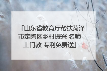 山东省教育厅帮扶菏泽市定陶区乡村振兴 名师上门教 专利免费送