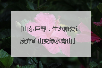 山东巨野：生态修复让废弃矿山变绿水青山