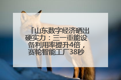 山东数字经济晒出硬实力：三一重能设备利用率提升4倍，赛轮智能工厂38秒生产一条轮胎