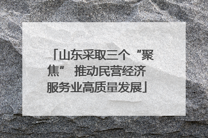 山东采取三个“聚焦” 推动民营经济服务业高质量发展