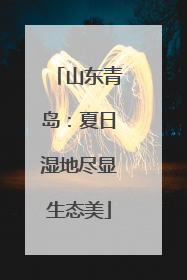 山东青岛：夏日湿地尽显生态美