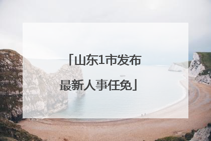 山东1市发布最新人事任免