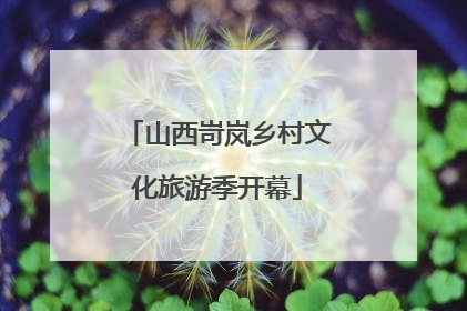 山西岢岚乡村文化旅游季开幕
