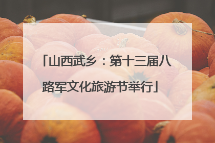 山西武乡：第十三届八路军文化旅游节举行