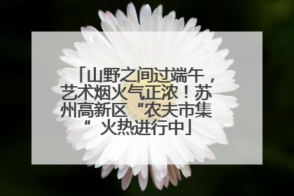 山野之间过端午，艺术烟火气正浓！苏州高新区“农夫市集”火热进行中