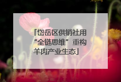 岱岳区供销社用“全链思维”重构羊肉产业生态