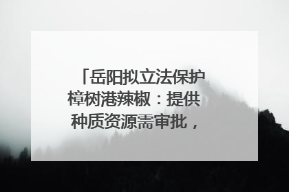 岳阳拟立法保护樟树港辣椒：提供种质资源需审批，违规最高罚5万