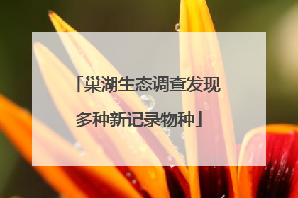 巢湖生态调查发现多种新记录物种