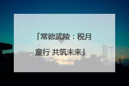 常德武陵：税月童行 共筑未来