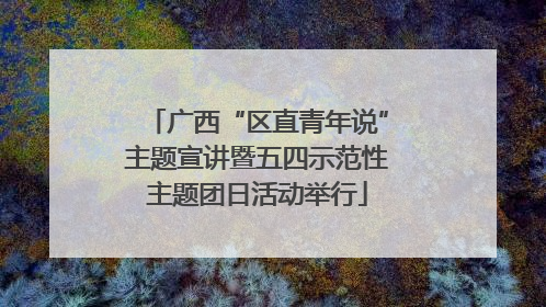 广西“区直青年说”主题宣讲暨五四示范性主题团日活动举行