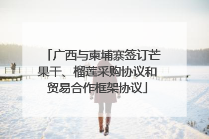 广西与柬埔寨签订芒果干、榴莲采购协议和贸易合作框架协议