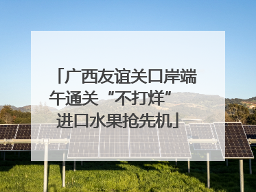 广西友谊关口岸端午通关“不打烊” 进口水果抢先机