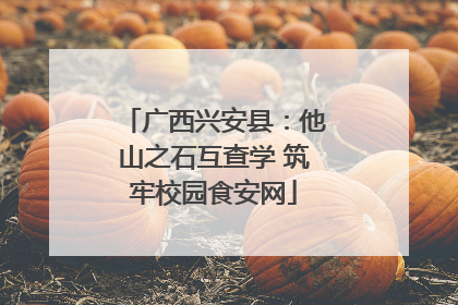 广西兴安县：他山之石互查学 筑牢校园食安网