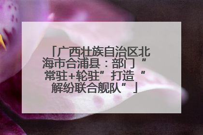 广西壮族自治区北海市合浦县：部门“常驻+轮驻”打造“解纷联合舰队”