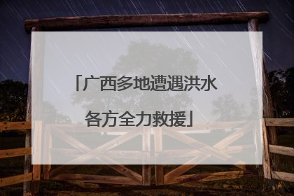 广西多地遭遇洪水 各方全力救援