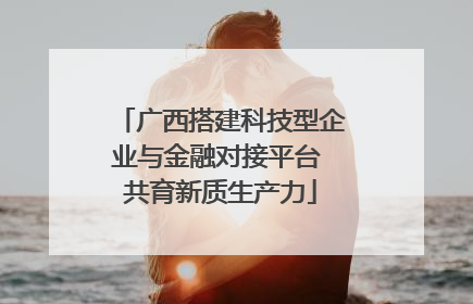 广西搭建科技型企业与金融对接平台 共育新质生产力