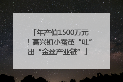 年产值1500万元！高兴镇小蚕茧“吐”出“金丝产业链”