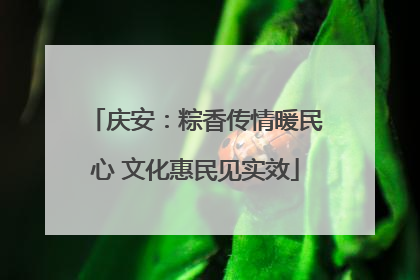 庆安：粽香传情暖民心 文化惠民见实效