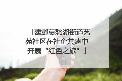 建邺莫愁湖街道艺苑社区在社企共建中开展“红色之旅”