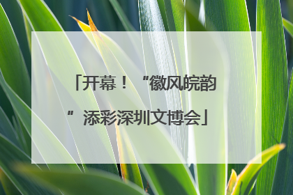 开幕！“徽风皖韵”添彩深圳文博会