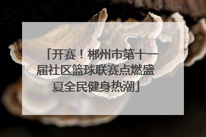 开赛！郴州市第十一届社区篮球联赛点燃盛夏全民健身热潮