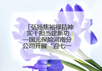 弘扬焦裕禄精神 实干担当建新功—国元保险河南分公司开展“迎七一”主题党日活动
