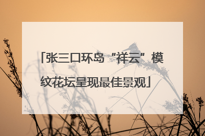 张三口环岛“祥云”模纹花坛呈现最佳景观