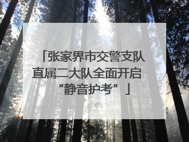 张家界市交警支队直属二大队全面开启“静音护考”
