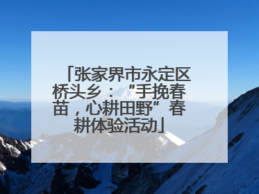 张家界市永定区桥头乡：“手挽春苗，心耕田野”春耕体验活动
