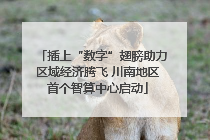 插上“数字”翅膀助力区域经济腾飞 川南地区首个智算中心启动