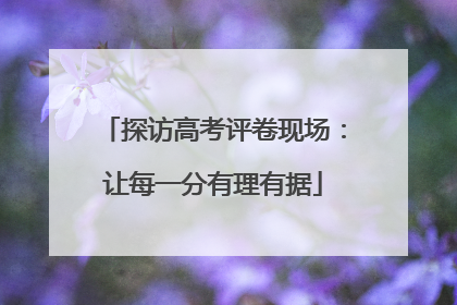 探访高考评卷现场：让每一分有理有据