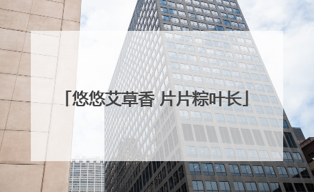 悠悠艾草香 片片粽叶长