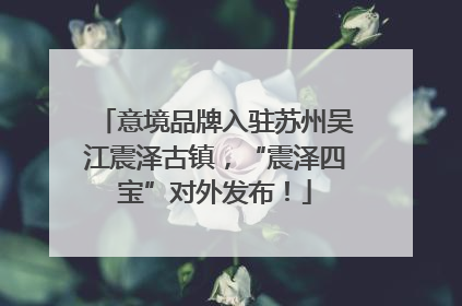 意境品牌入驻苏州吴江震泽古镇，“震泽四宝”对外发布！