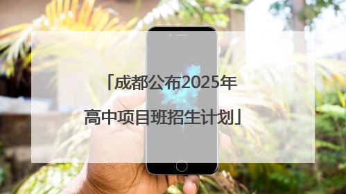 成都公布2025年高中项目班招生计划