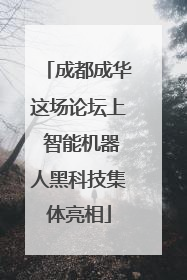 成都成华这场论坛上 智能机器人黑科技集体亮相