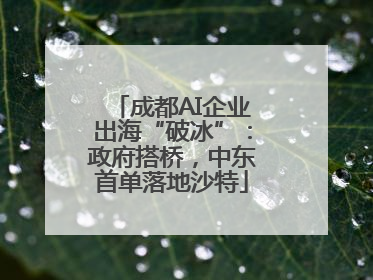 成都AI企业出海“破冰”：政府搭桥，中东首单落地沙特